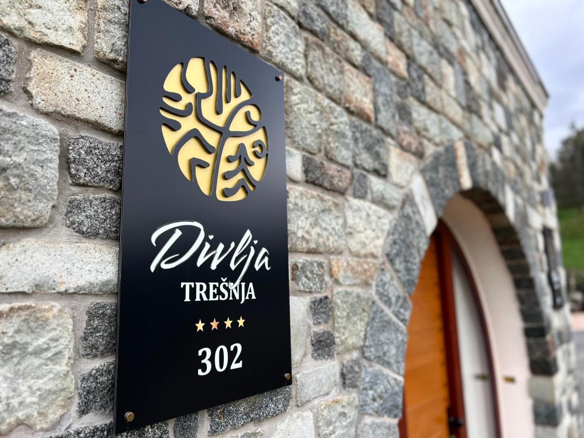 Toplik Village Resort Lukavica Bagian luar foto